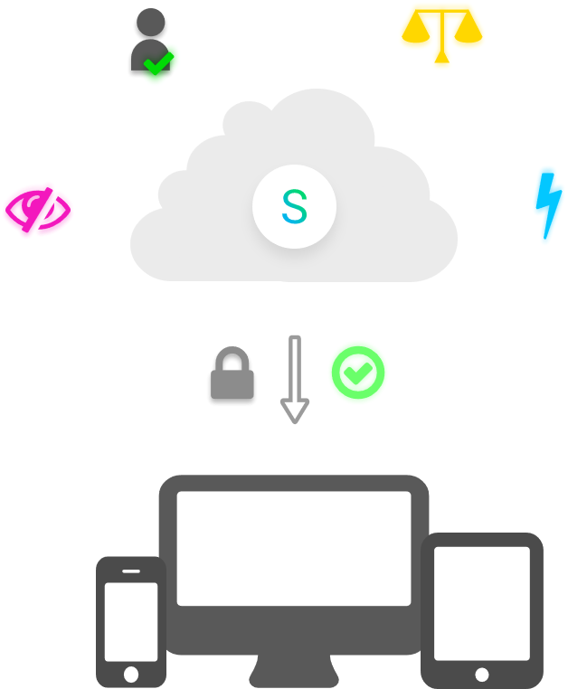 Softorage: Safe, Secure, Private, Fast and Trustable Software Hub